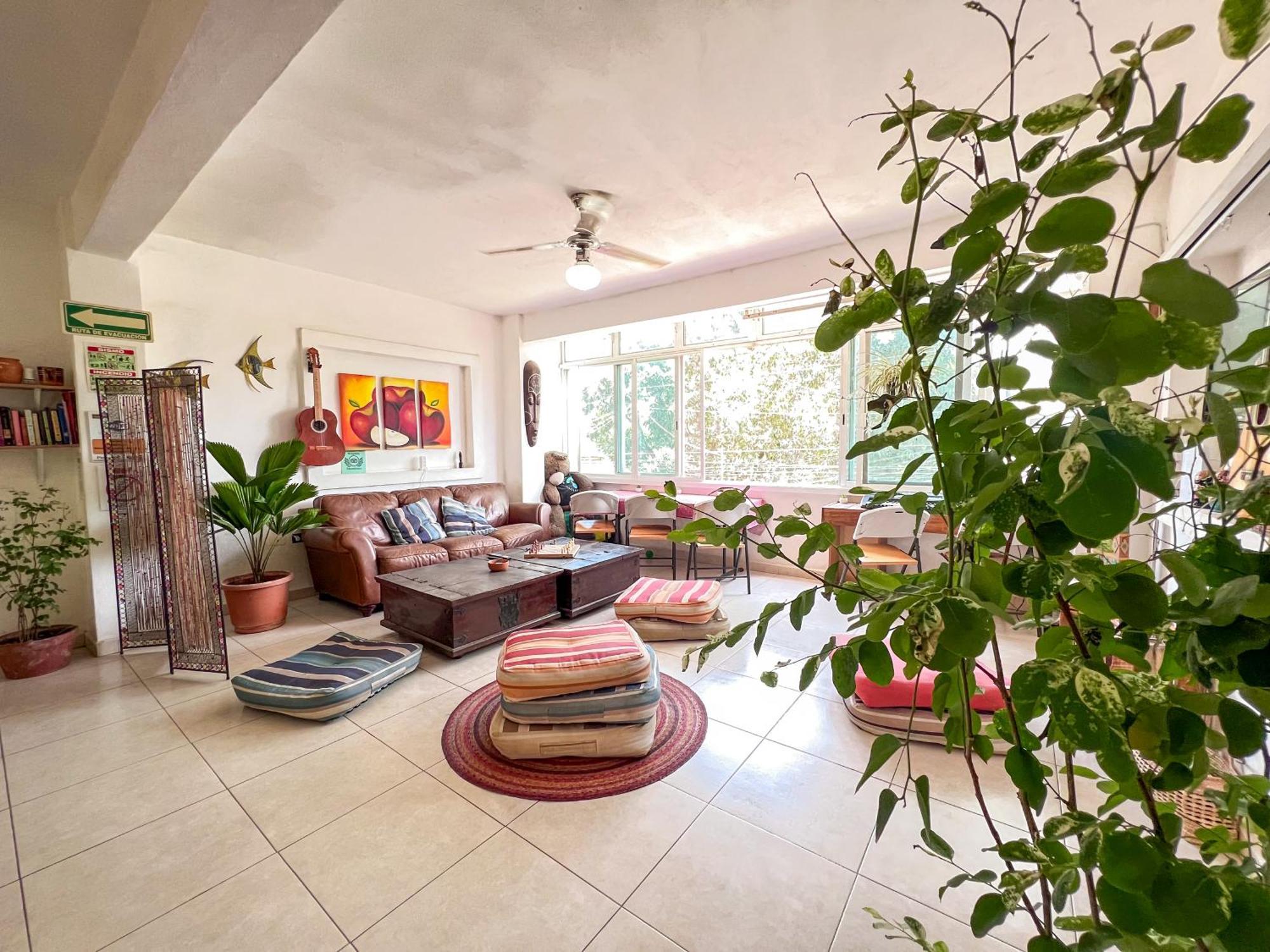 Ith Sayulita Amazing Surf Hostel Ngoại thất bức ảnh